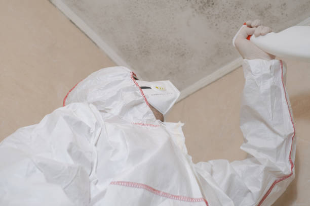 Best Mold Remediation Services  in Silt, CO