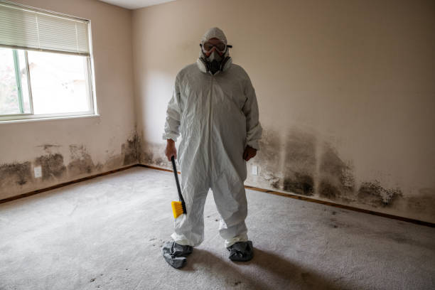 Best Residential Mold Removal  in Silt, CO